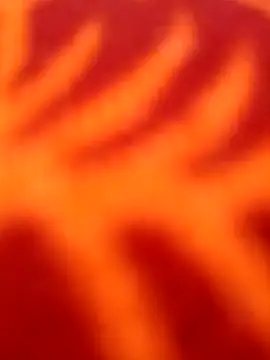 Nandani-758 online show from 04/08/26, 11:21