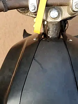 Meow buggie online show from 12/23/25, 02:53