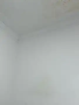  Pamela 1 online show from 12/17/25, 02:39