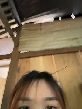 Spring-spring online show from 11/24/25, 05:40