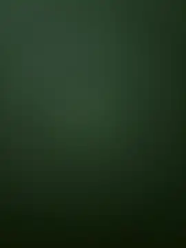 Spring-spring online show from 12/01/25, 12:54