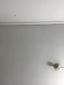 Rosa Vidal  online show from 11/29/25, 06:55