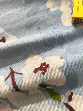 paro22 sex online show from 04/23/26, 07:27