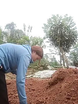 nangmo online show from 03/12/26, 07:47