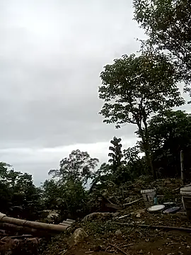 nangmo online show from 04/23/26, 11:09