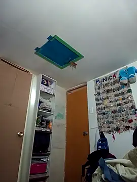 Bizcochitoc4 online show from 11/26/25, 12:50