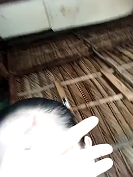 Lin-kute98 online show from 02/09/26, 12:58