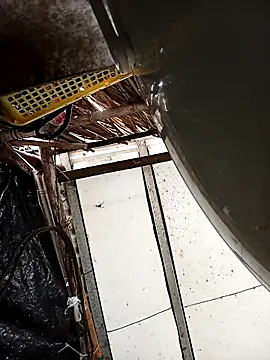 Lin-kute98 online show from 04/23/26, 02:24