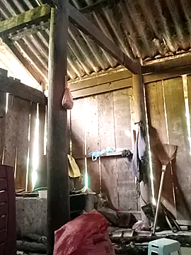 Lily-ross22 online show from 11/25/25, 05:07