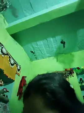 Punam panjabi online show from 02/15/26, 06:32