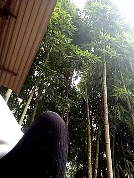 hey-bana online show from 12/17/25, 03:34