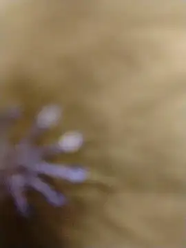 RASHMI SHARMA9 online show from 02/16/26, 03:57