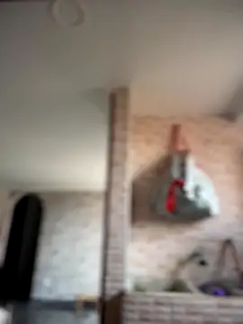 Snapshot of -Nala chatting on 12/02/25, 12:10 -Nala online show from 12/02/25, 12:10