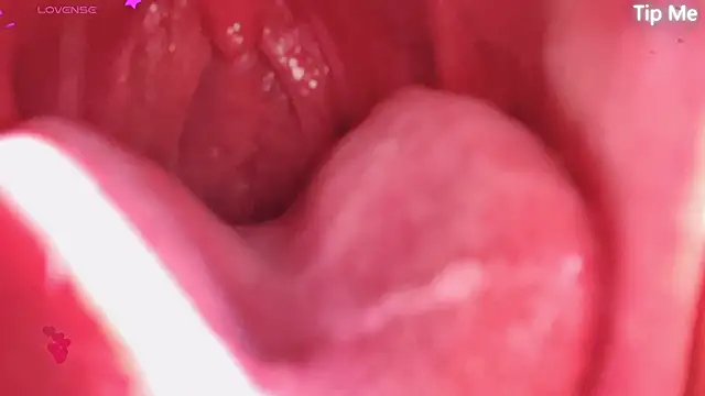 LT-333 online show from 04/22/26, 02:58