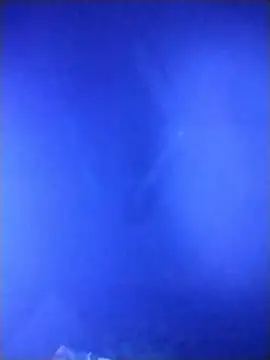 qaarlyfogosa online show from 02/11/26, 10:31