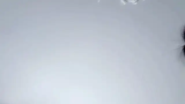 Celestisse- online show from 11/29/25, 05:54