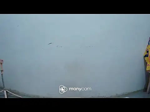 hottiemama69 online show from 03/21/26, 08:23