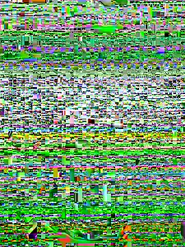 alexzzzzzppp online show from 11/27/25, 03:47