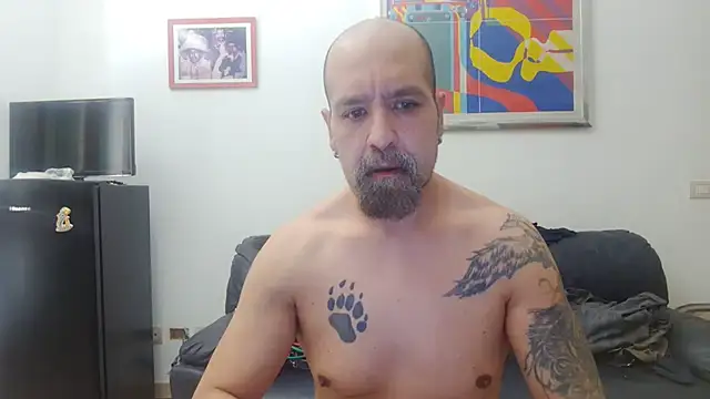AMIRDIB2025 online show from 07/28/26, 07:26