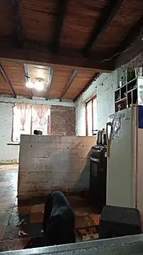 Snapshot of ChanneldelaCroix chatting on 02/20/26, 07:25 ChanneldelaCroix online show from 02/20/26, 07:25