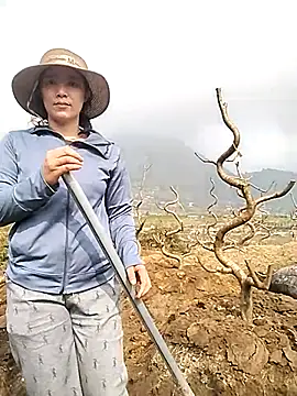 Alibabapi online show from 03/25/26, 02:17