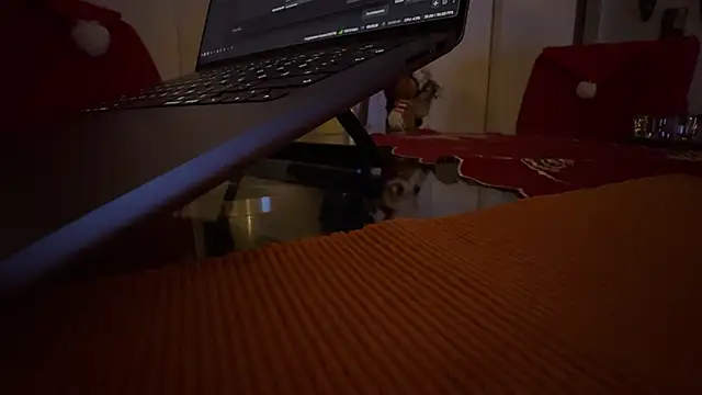 Snapshot of AndyLD20x6 chatting on 12/03/25, 11:14 AndyLD20x6 online show from 12/03/25, 11:14