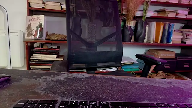 Snapshot of diogene11 chatting on 11/29/25, 08:50 diogene11 online show from 11/29/25, 08:50