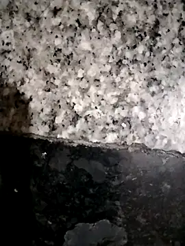 Snapshot of kannada_siri123 chatting on 03/01/26, 12:56 kannada siri123 online show from 03/01/26, 12:56