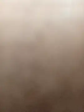 gatitachula93 online show from 03/01/26, 02:41