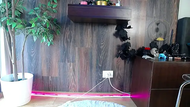 RavenFoxxy online show from 02/12/26, 06:52