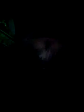 KF hway online show from 03/25/26, 11:11