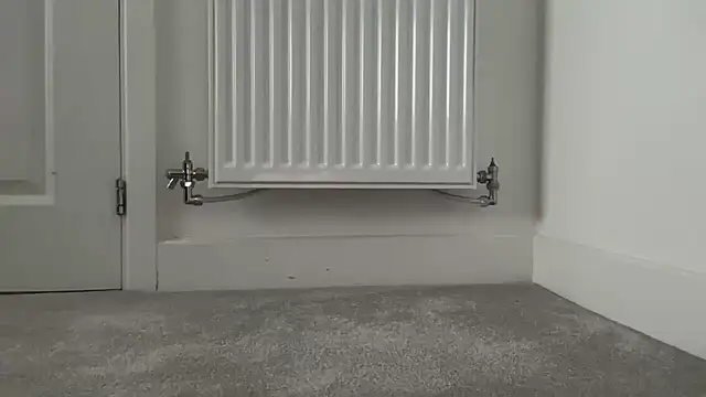 Snapshot of RandyRik chatting on 12/18/25, 09:48 RandyRik online show from 12/18/25, 09:48