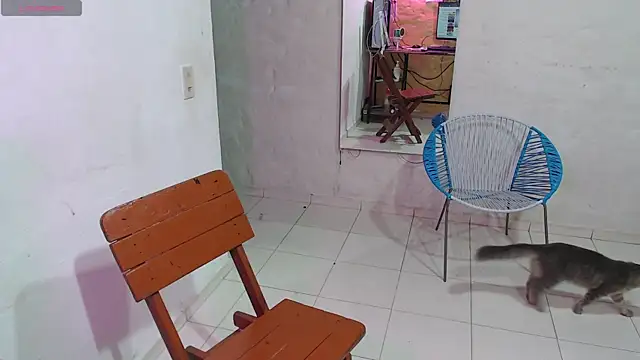 maxI dick33 online show from 02/14/26, 10:23