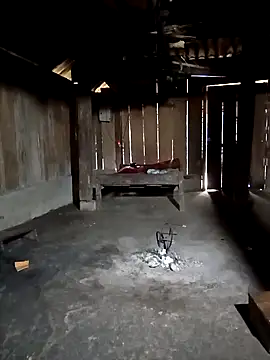 ava-dellght online show from 02/03/26, 06:40