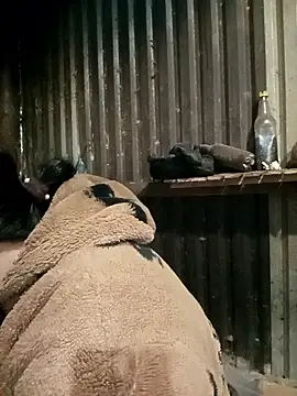 sary-hot2x online show from 01/07/26, 11:51