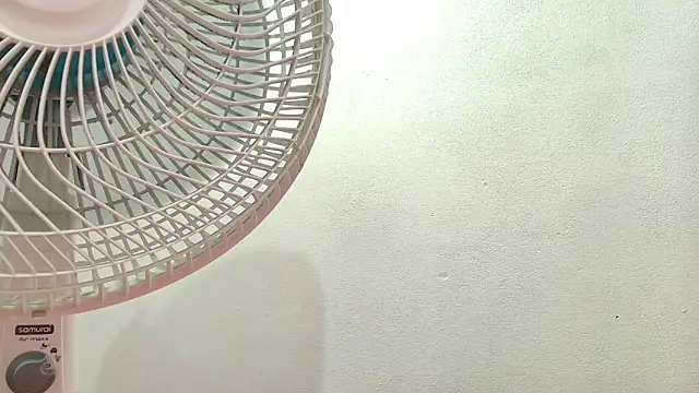 Elizabetth Roman online show from 04/22/26, 08:32