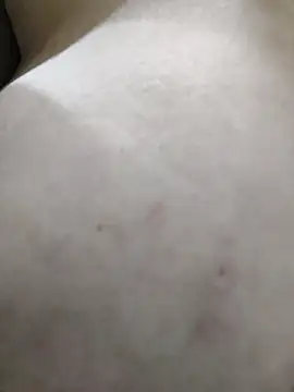 palomitka online show from 02/11/26, 05:45