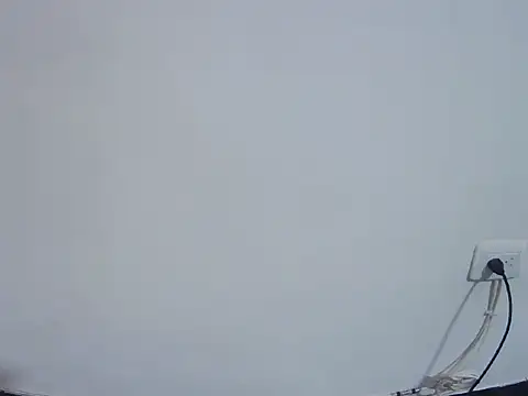 Snapshot of Fernanda_andrew chatting on 02/24/26, 04:49 Fernanda andrew online show from 02/24/26, 04:49