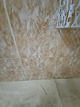 Bigkannan online show from 01/31/26, 07:23