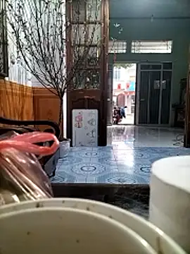 Nor6868 online show from 02/14/26, 01:46