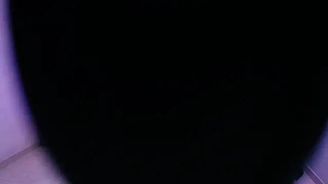 Snapshot of Sofia_tgn chatting on 06/08/26, 06:41 Sofia tgn online show from 06/08/26, 06:41