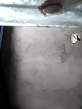 Snapshot of gigo-ulala chatting on 12/16/25, 01:38 gigo-ulala online show from 12/16/25, 01:38