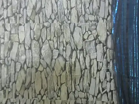 Exotic indian95 online show from 03/13/26, 06:53