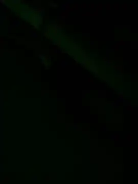 zoodangermind online show from 05/17/26, 12:08