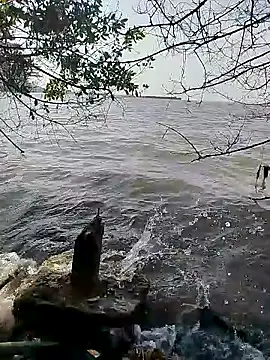 Andreskelly online show from 02/16/26, 01:51