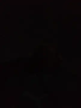 Snapshot of Andreskelly chatting on 04/22/26, 12:35 Andreskelly online show from 04/22/26, 12:35