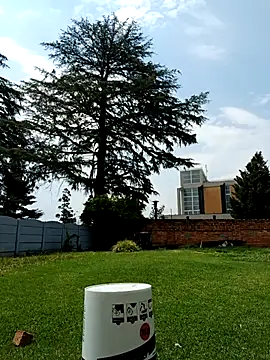 PetiteDoll 06 online show from 02/21/26, 11:55