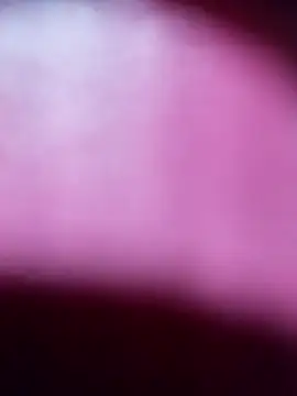 Snapshot of Myrelahot chatting on 03/21/26, 12:37 Myrelahot online show from 03/21/26, 12:37