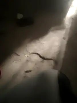 DanielGr27 online show from 02/05/26, 11:31