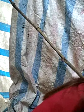 mit0-77 online show from 02/15/26, 12:51